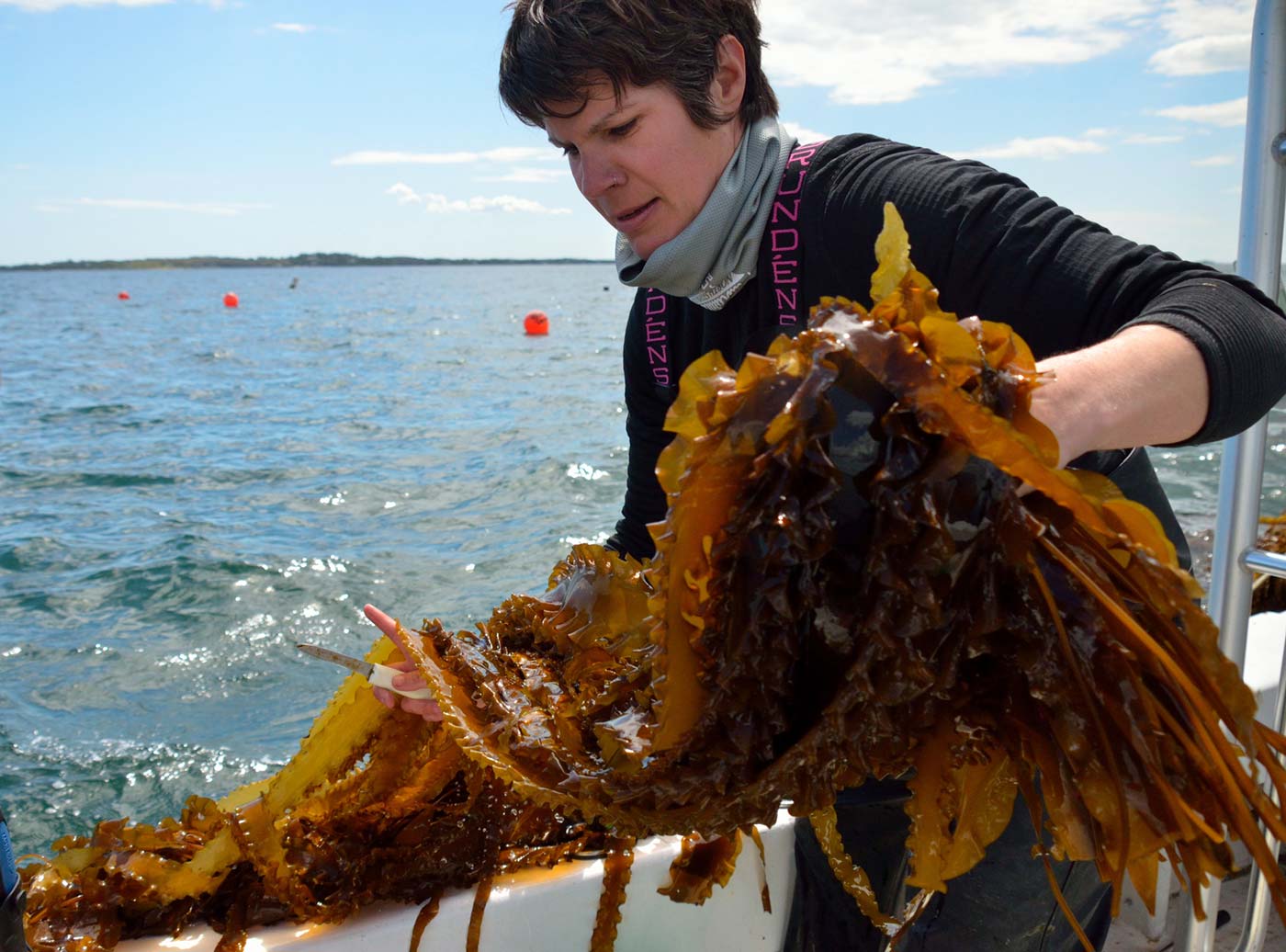 woman holding kelp