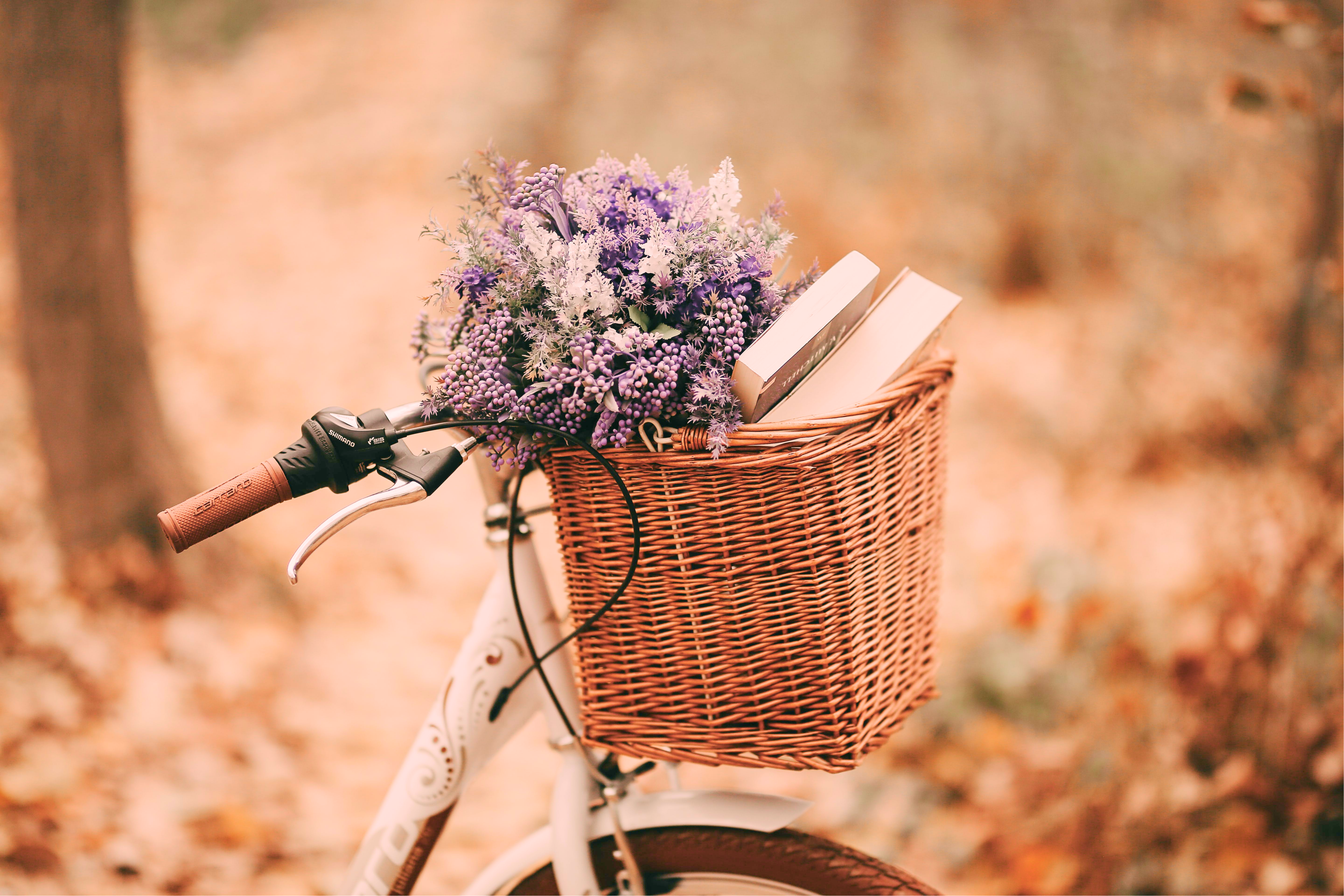 books and flowers in a bicycle basket