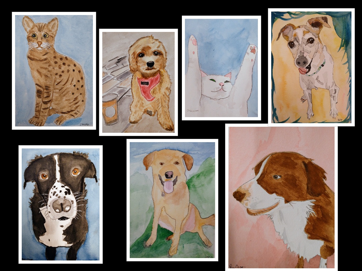 examples of Paint Your Pet portraits
