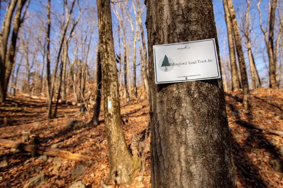 A picture of a sign for the Wallingford Land Trust hung on a tree.