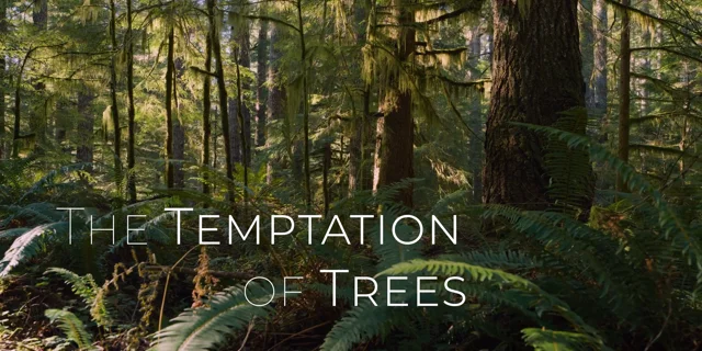 The Temptation of Trees