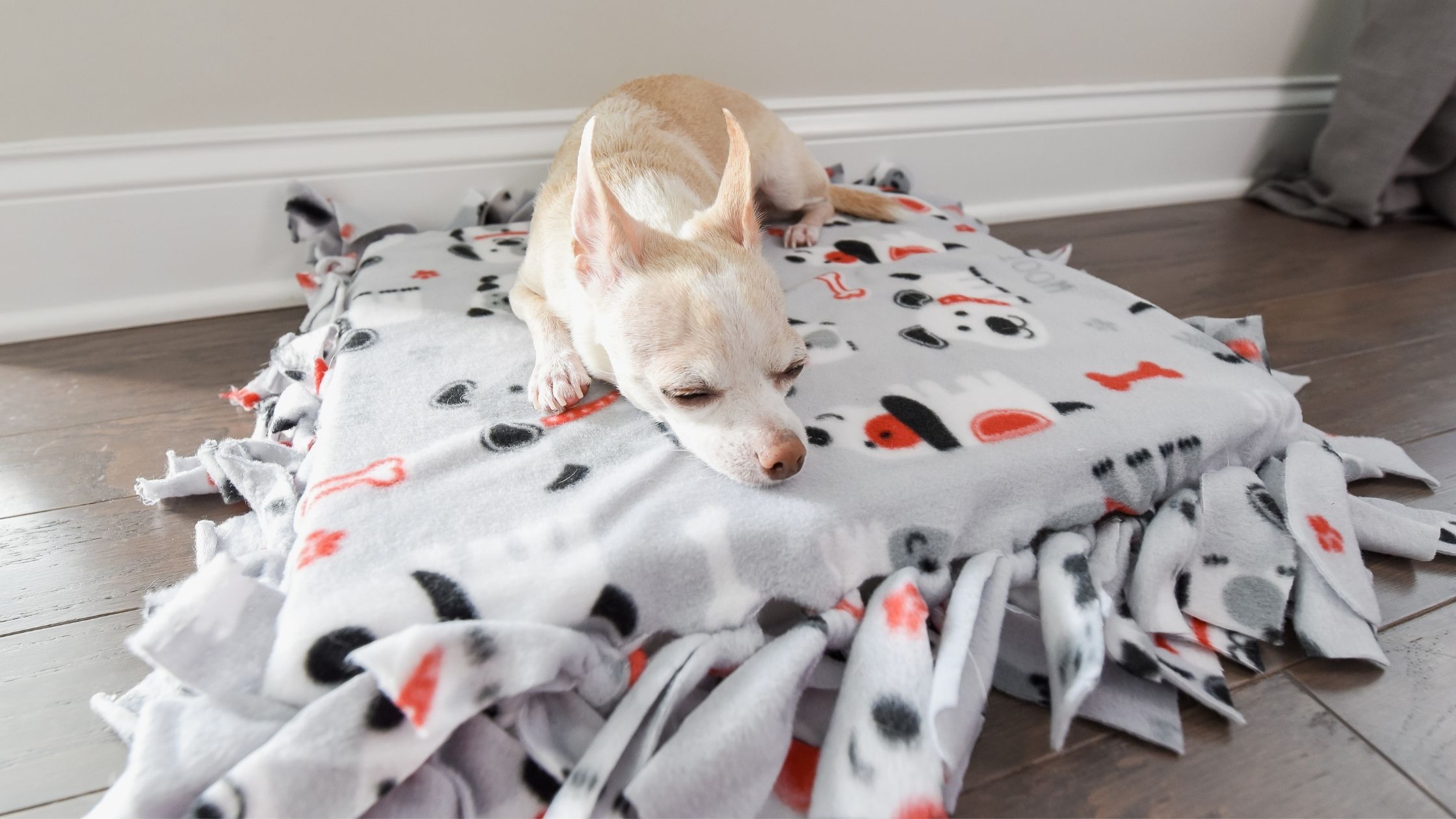 dog on a fleece bed