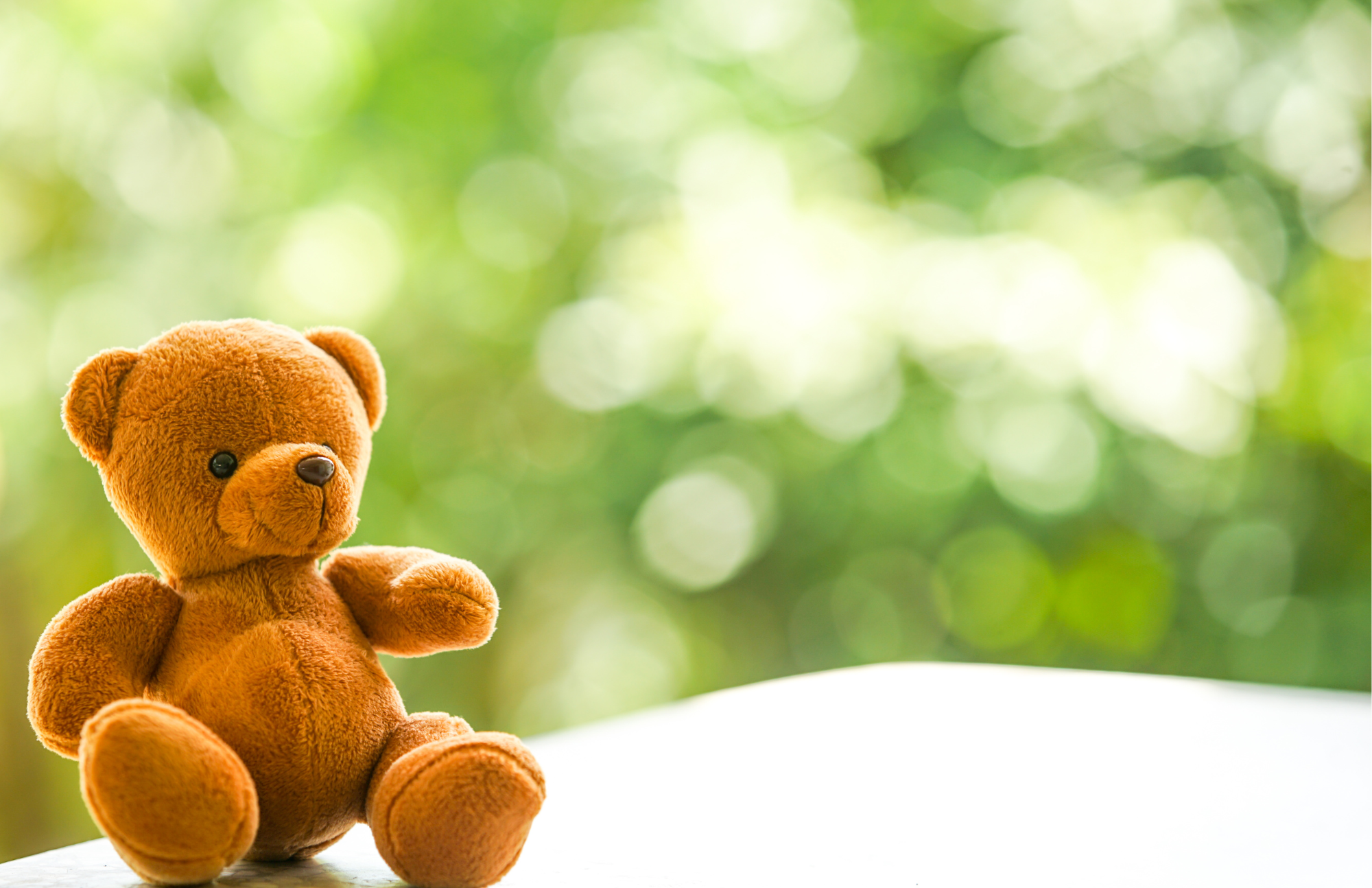 Brown teddy bear in front of green background