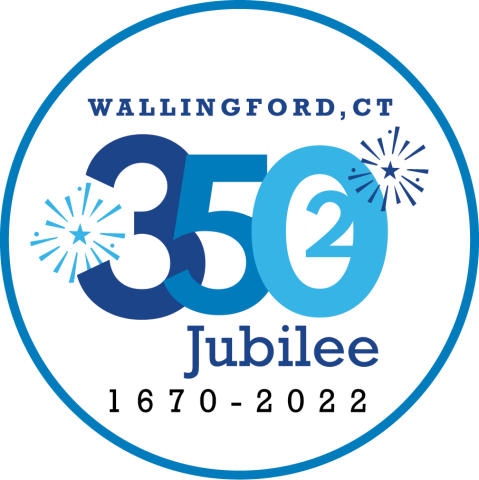 305th logo