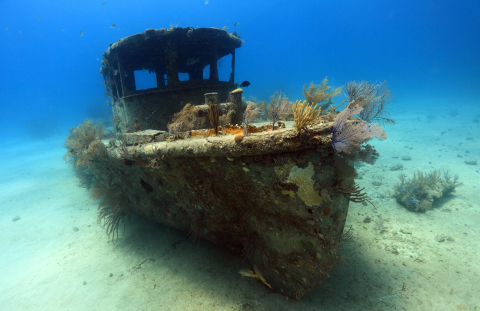 Old ship covered in barnacles and seaweed on the ocean floor