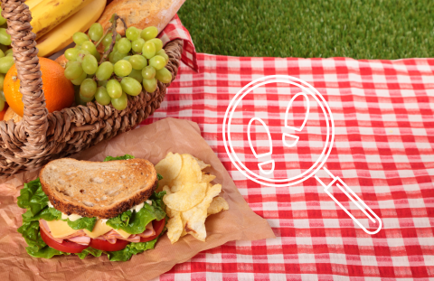 Red and white checkered table cloth spread out on grassy area, with a delicious sandwich on top and a basket of fruit.