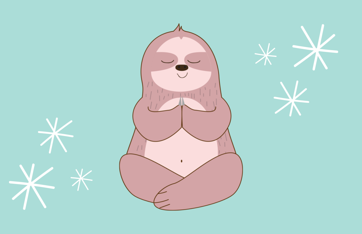 Sloth meditating and looking very cute