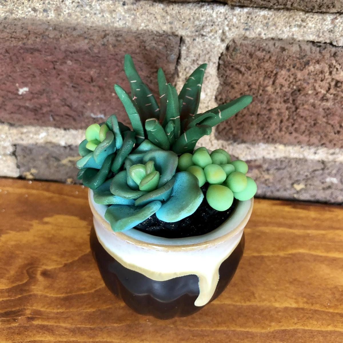 clay succulents