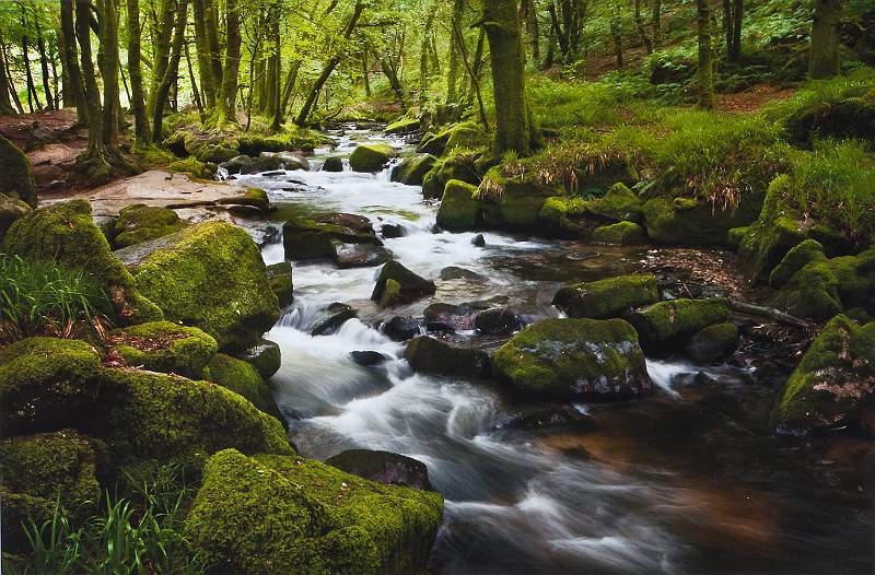 A brook running over mossy rocks