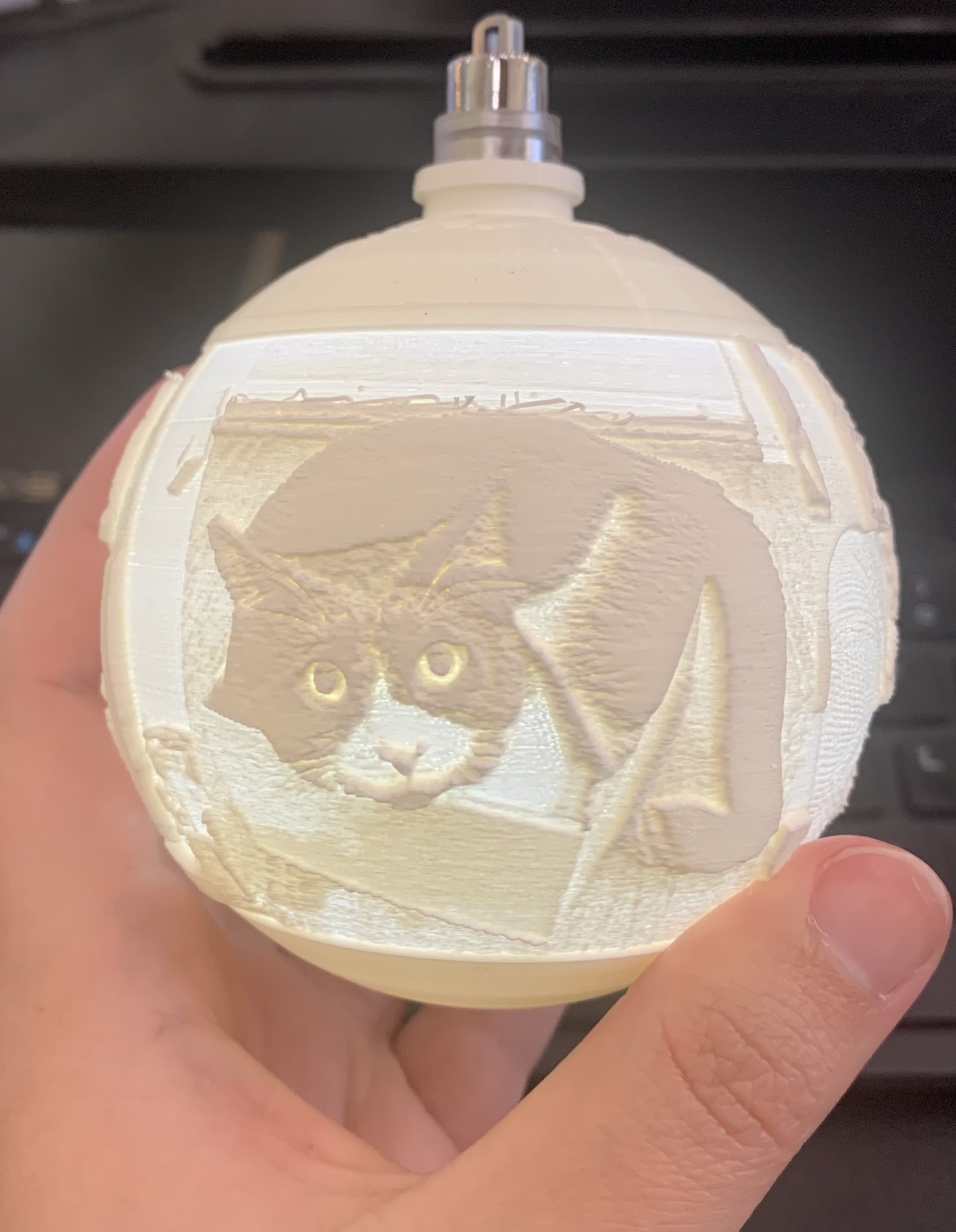 3D Printed Custom Ornament